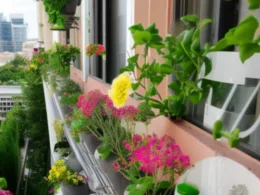 Kiedy sadzić kwiatki na balkonie?