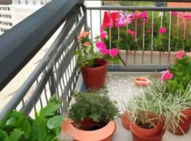 Kiedy sadzić kwiaty na balkonie?