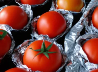 Kiedy sadzić pomidory w folii?